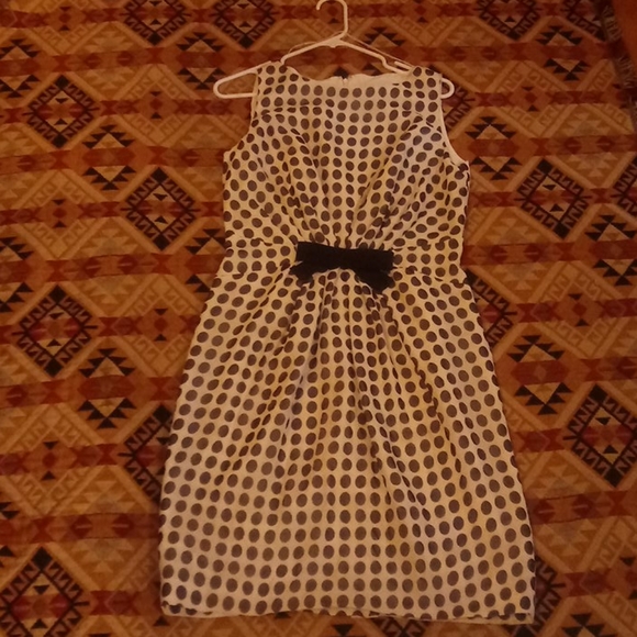 Coldwater Creek Pocka Dot Dress Size 8. Beautiful. - Picture 1 of 16